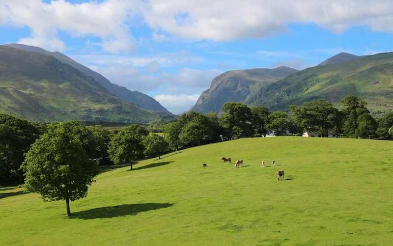 Field at Gap of Dunloe