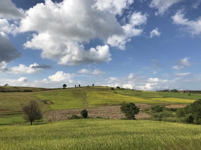 Landscape slow train ride