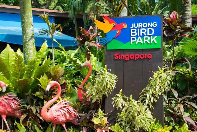 Jurong Bird park